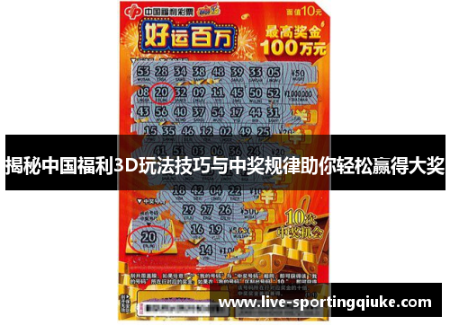 揭秘中国福利3D玩法技巧与中奖规律助你轻松赢得大奖