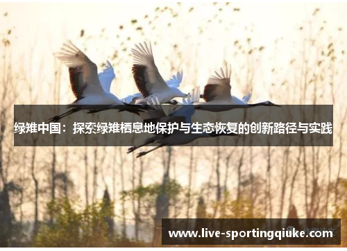绿雉中国：探索绿雉栖息地保护与生态恢复的创新路径与实践